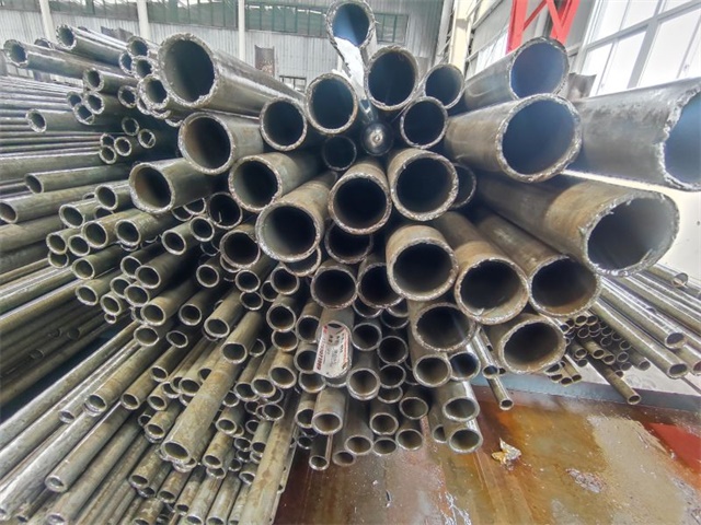 IMG_20230401_141821.jpg IMG_20230401_141821.jpg